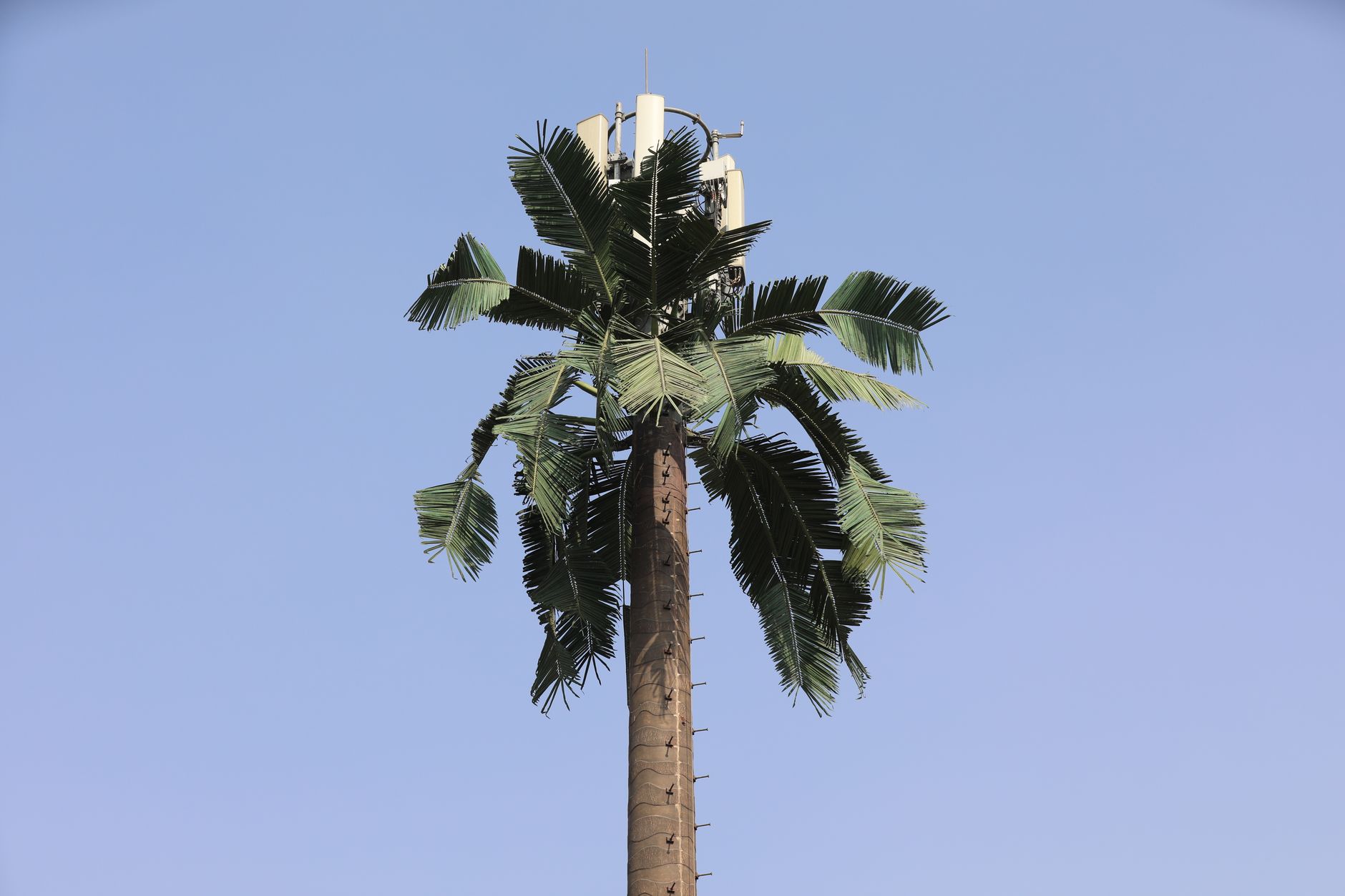 4G vs 5G en Marruecos: ¿Qué cambia para tu viaje?