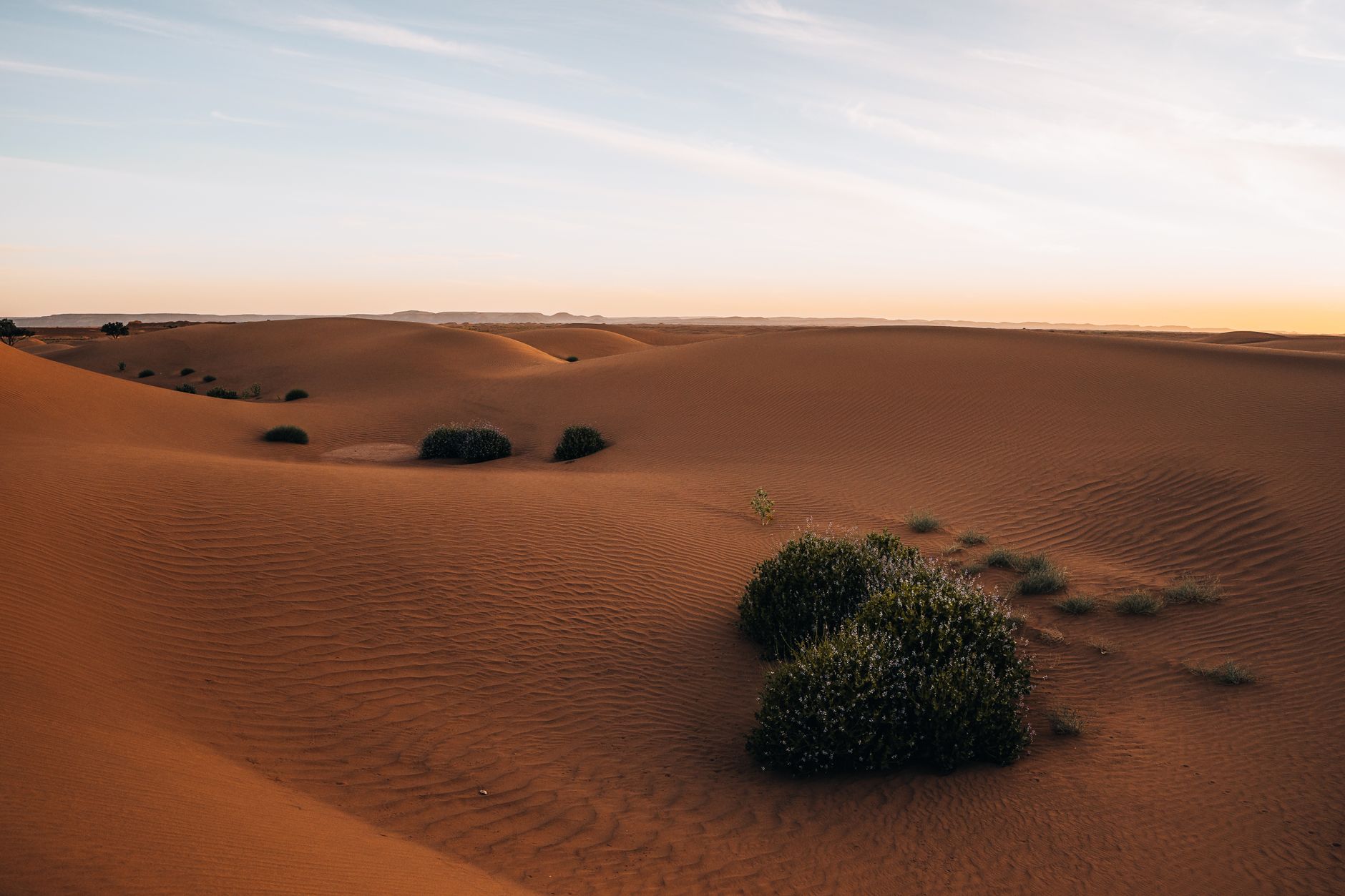 Best Internet for Long Morocco Stay: eSIM Guide 2026