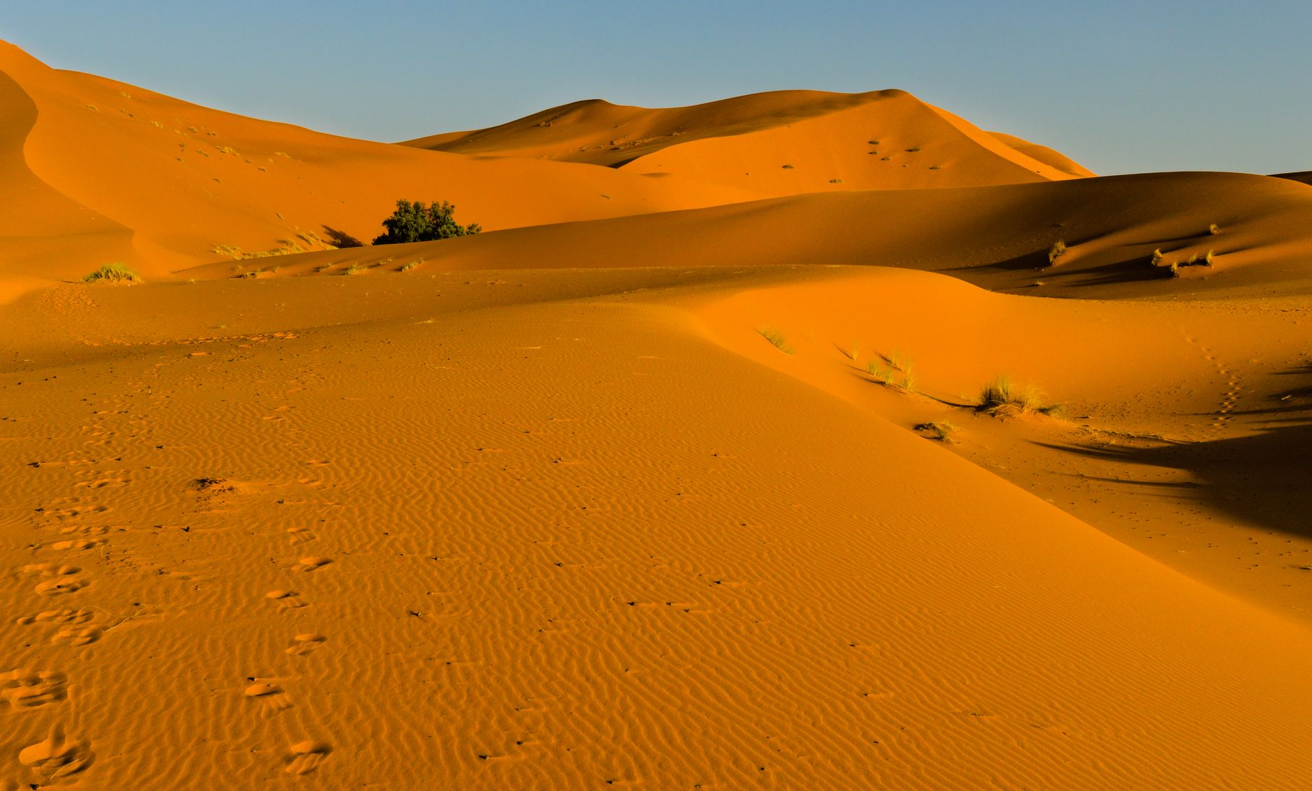 Envoyer photos et vidéos depuis le désert marocain