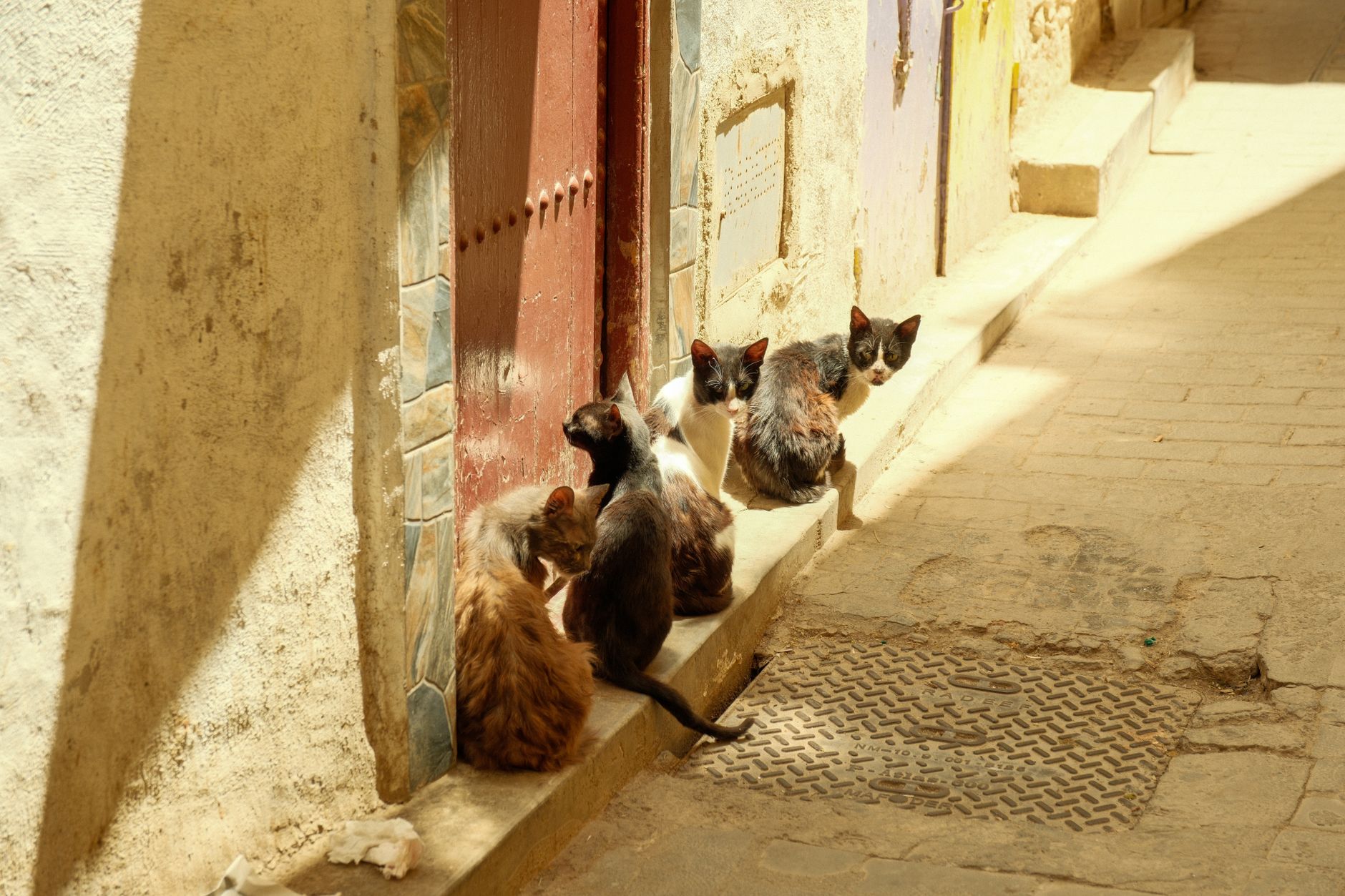 How to Find Your Way Without Signal in the Fes Medina