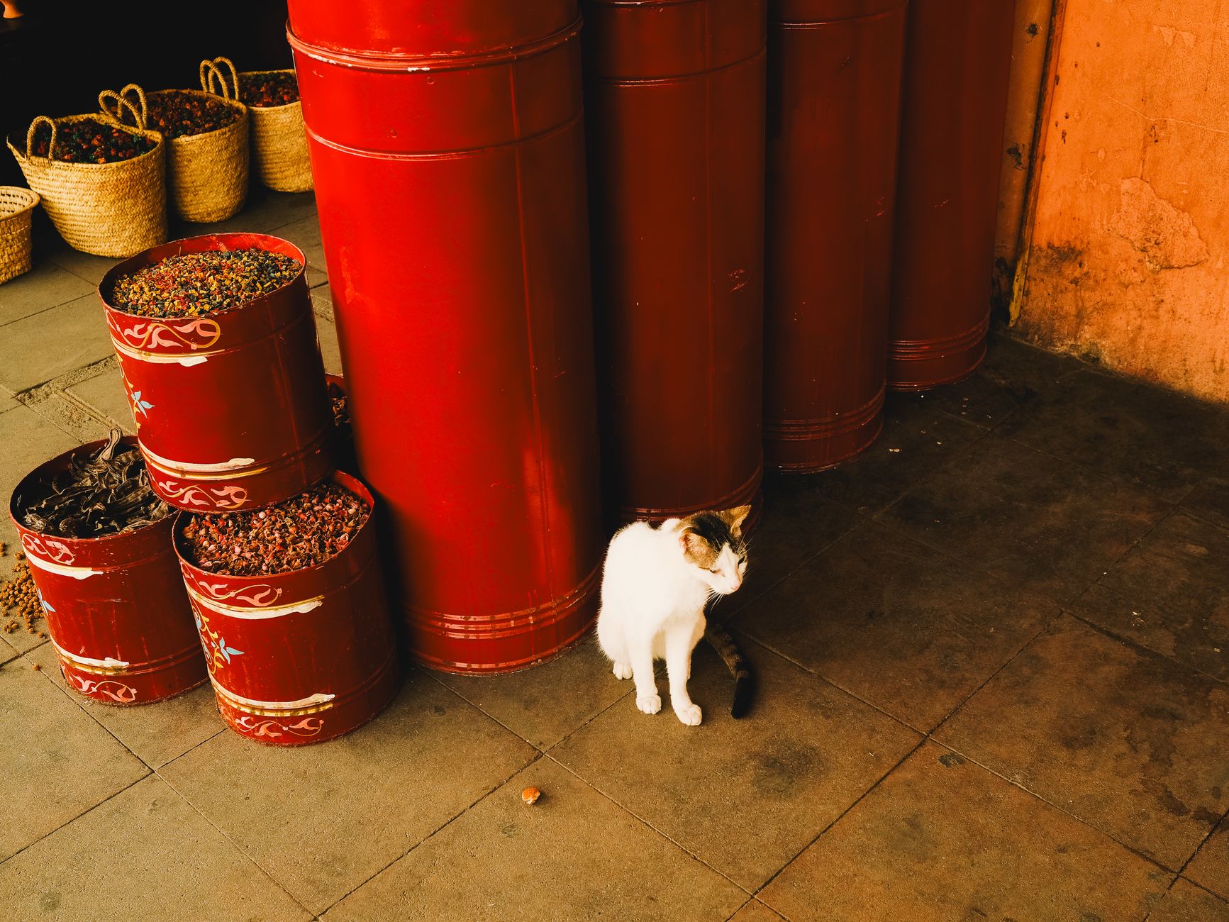 Lost in Marrakech Souks? How to Stay Connected with Morocco