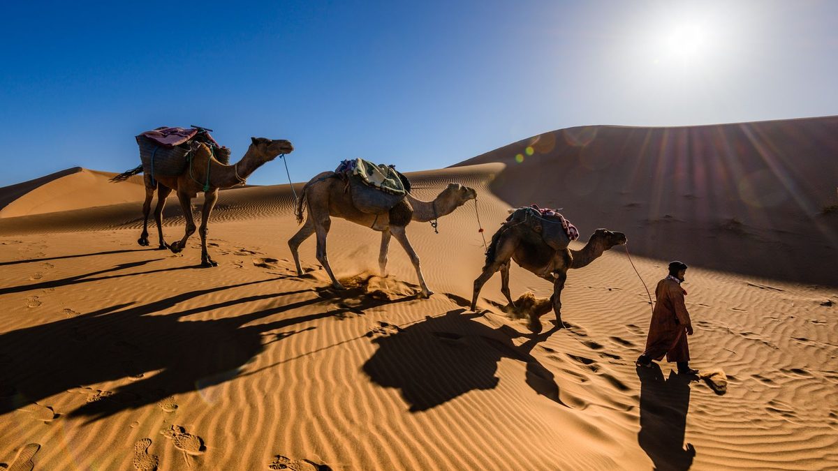 Offline Translation App for Traveling in Morocco: 2026 Guide