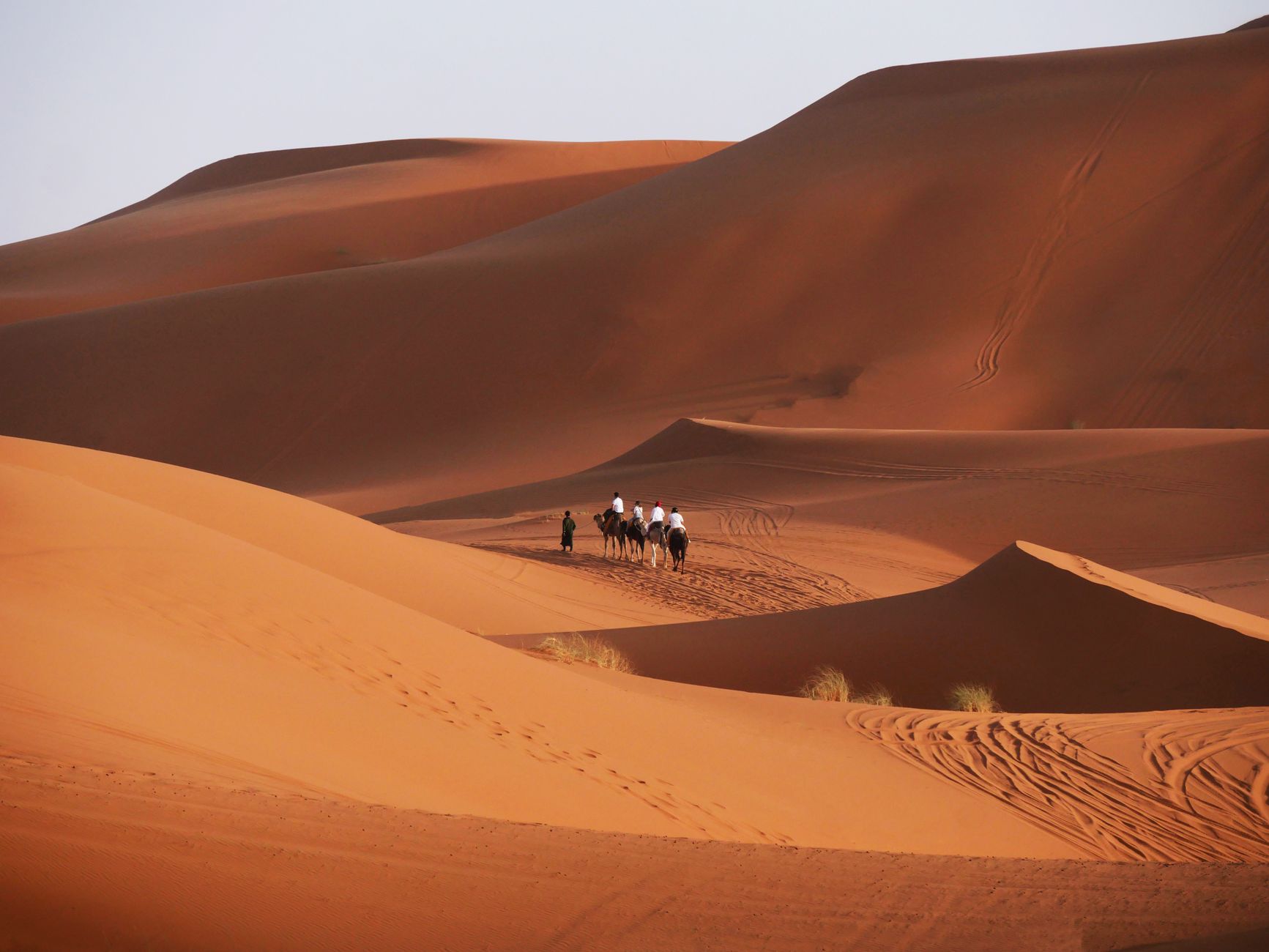 Phone Signal in the Sahara Desert: The Truth