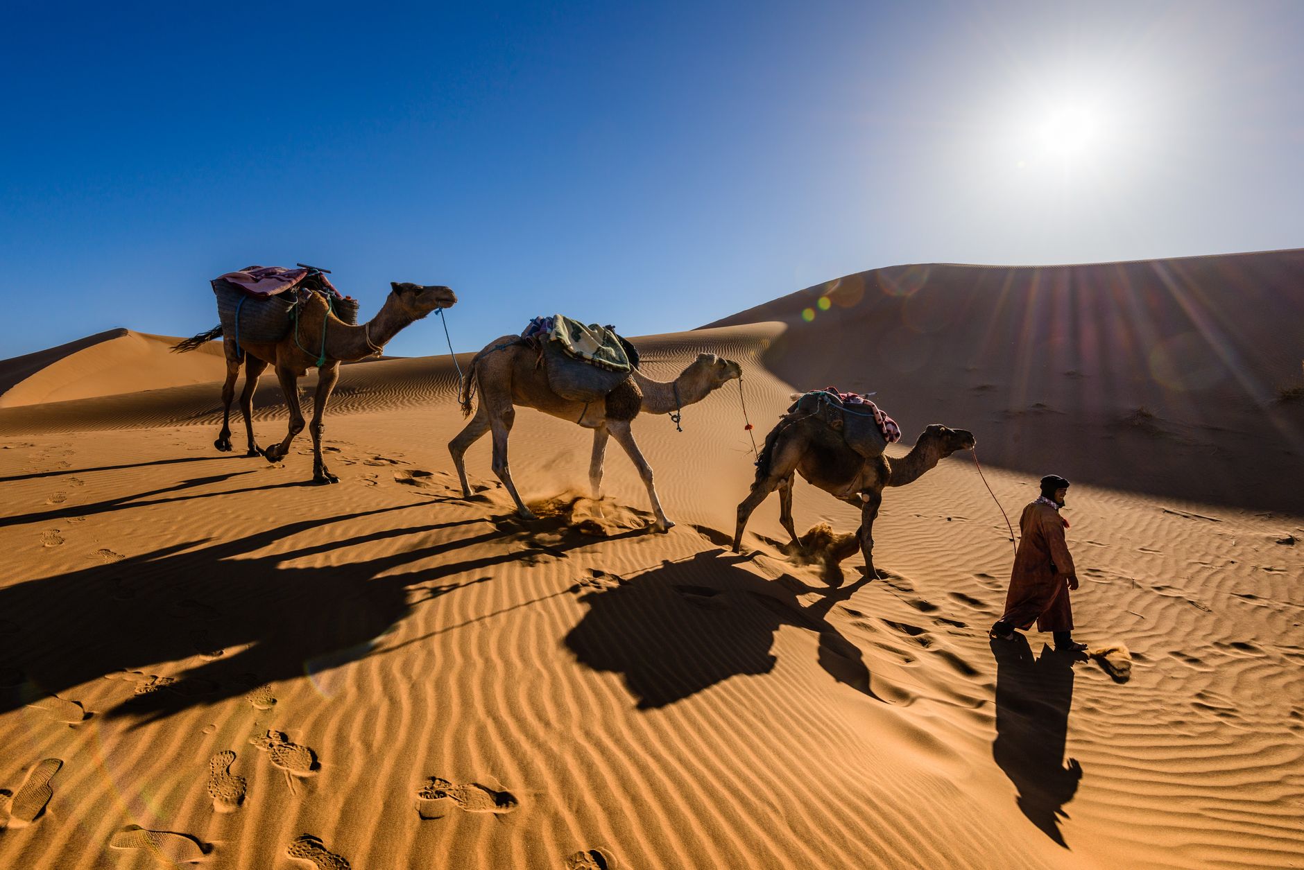 ¿Por qué mi teléfono no capta en el desierto? Soluciones