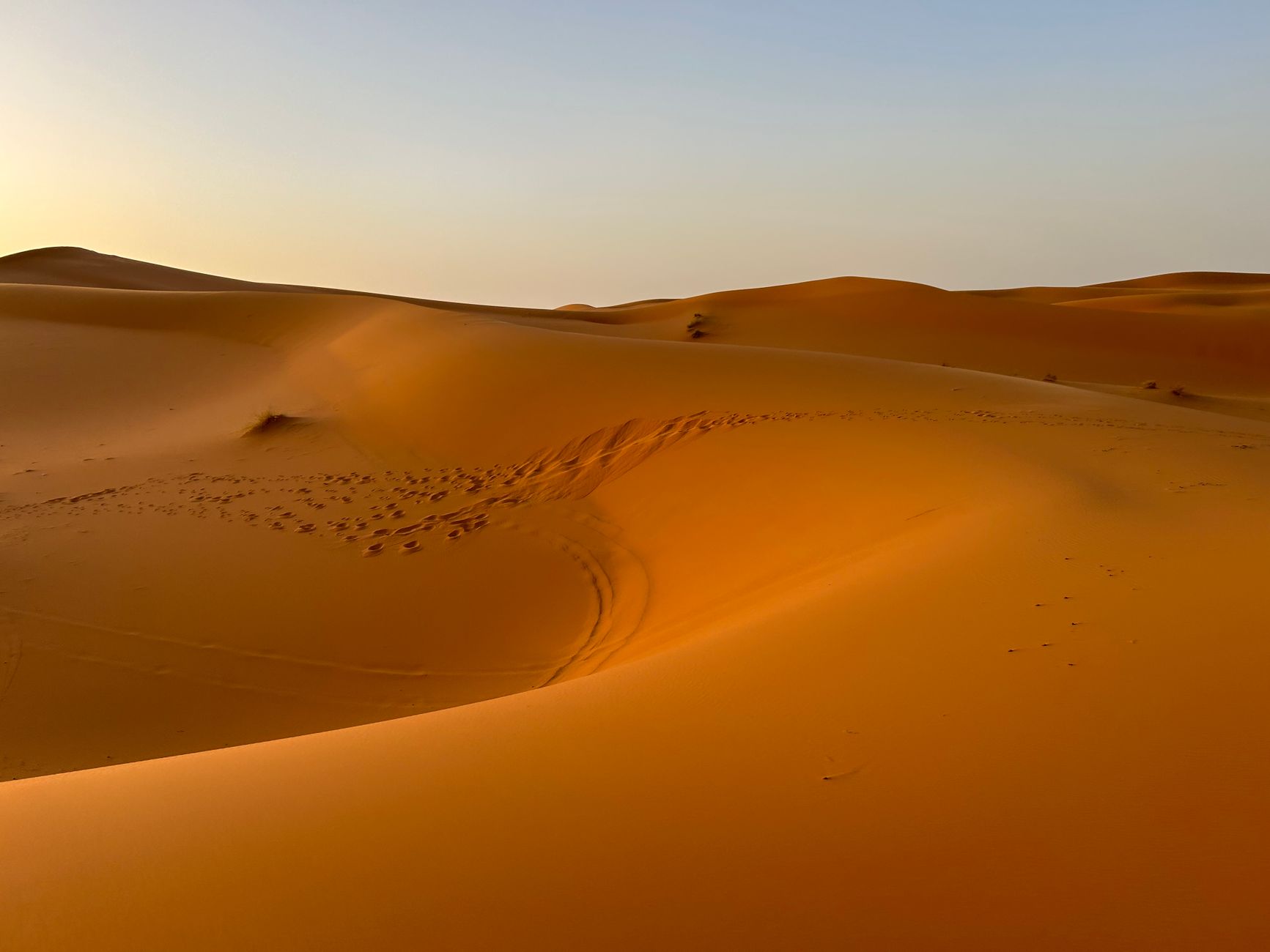 Sharing Your Morocco eSIM Connection: A Traveler's Guide