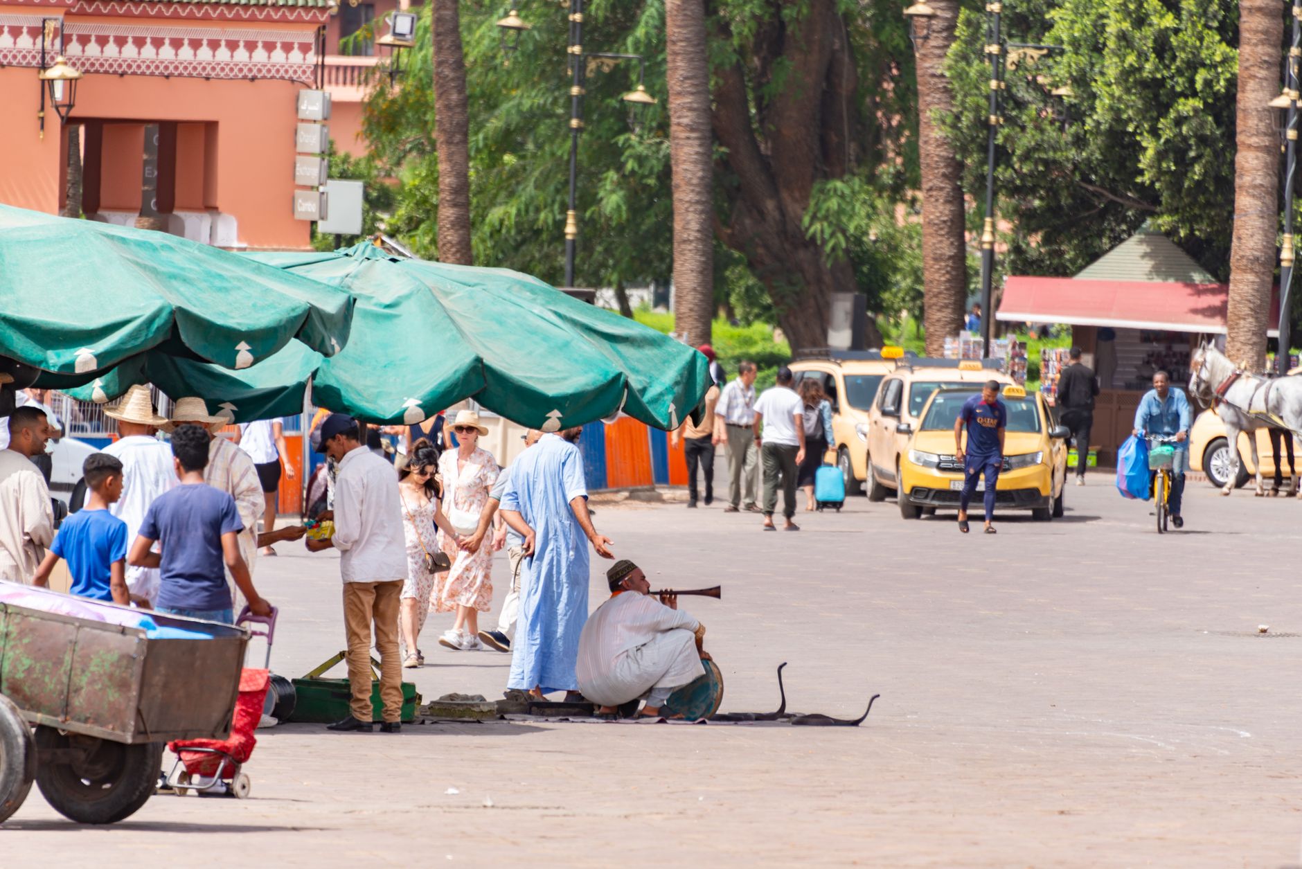 Téléphone sans réseau au Maroc : solutions immédiates