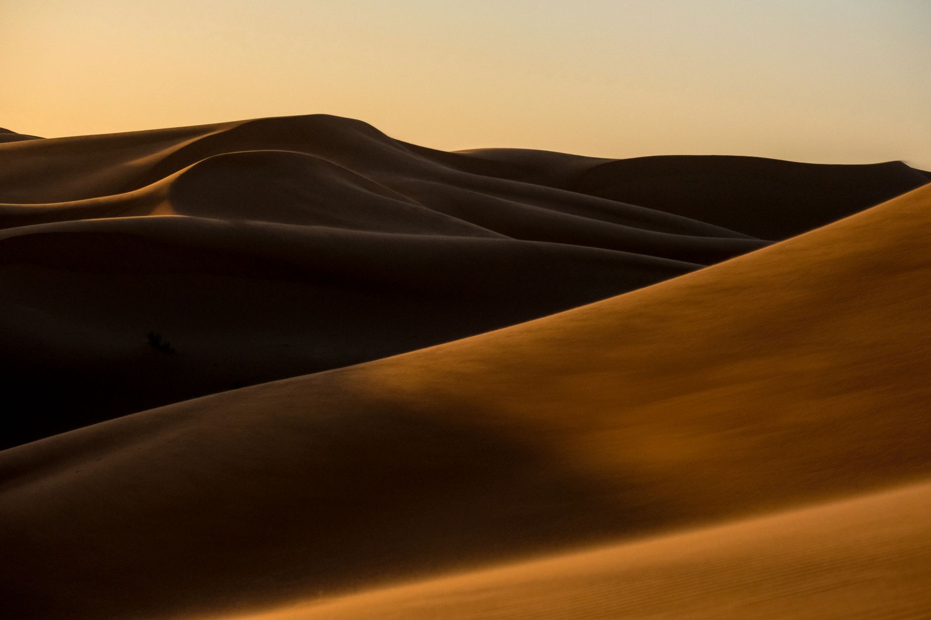Why My Phone Gets No Signal in the Desert? Morocco eSIM Fix