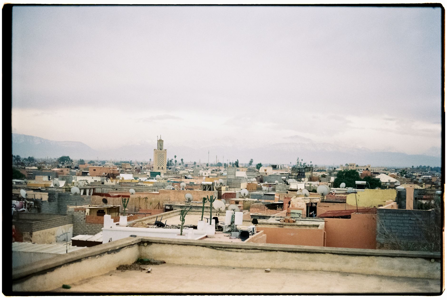 Why My Phone Shows 'No Network Available' in Morocco – Fix Guide